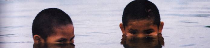 tribo avá canoeiro